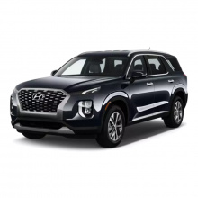 Hyundai Palisade 2020 - 2025