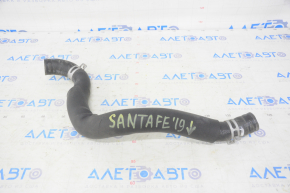 Патрубок охолодження нижній Hyundai Santa FE 19-20 2.4