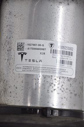 Пневмостійка задня ліва Tesla Model X 16-21 тип 3