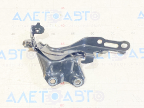 Петля капота ліва Lexus IS250 IS300 IS350 06-13 новий OEM оригінал