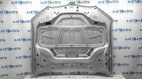 Капот голий BMW X3 G01 X4 G02 18 - алюміній, срібло А83, пісок, тичка