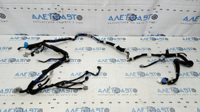 Проводка двери багажника Lexus RX350 RX450h 10-15