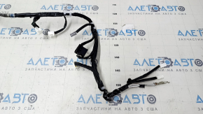 Проводка двери багажника Lexus CT200h 11-17