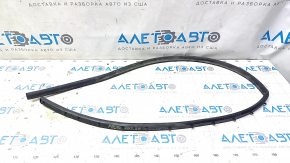 Ущільнювач капота Volkswagen ID.4 23-26 на бампері.