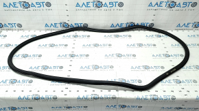 Ущільнювач дверей переднього лівого Audi A4 B9 17-20 потерт
