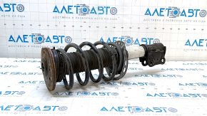 Стійка амортизатора в зборі передня права Ford Fusion mk5 13-20 2.0T, hybrid, plug-in, іржава опора