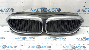 Решітка радіатора grill у зборі BMW 5 G30 17-20 з жалюзі дефлектором радіатора, хром, пісок