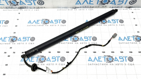 Амортизатор дверей багажника Ford Escape MK4 20-26 електро