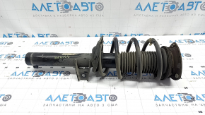 Стойка амортизатора в сборе передняя правая Audi Q3 83A 19-25