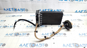 Сухий тен Nissan Ariya 23-26