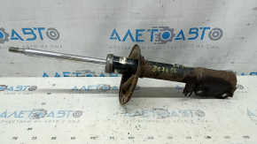 Амортизатор задній правий Toyota Camry v40 XLE