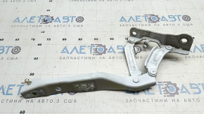 Петля капота права Kia EV6 22-26