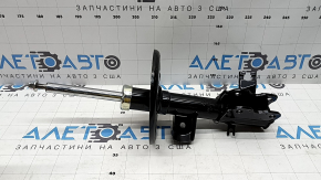 Амортизатор передний правый Nissan Maxima A36 16-