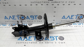 Амортизатор передний левый Nissan Maxima A36 16-