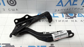 Петля капота ліва Lexus UX200 UX250h UX300h 19-26