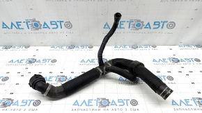 Патрубок охлаждения нижний Jeep Compass 17-22 2.4