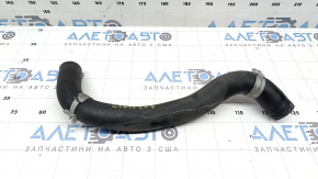 Патрубок охлаждения нижний Honda Civic XI FE/FL 22-26 2.0
