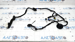 Проводка дверей задніх лівих Kia Niro 17-22 HEV, PHEV