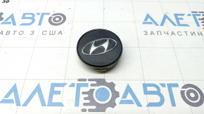 Центральный колпачок на диск Hyundai Santa FE 21-23 R17, R19, R20