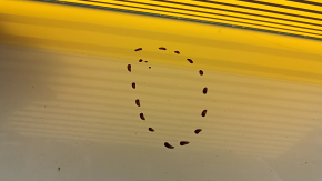 Дверь в сборе передняя левая Volvo XC90 16-26 keyless, белый 707, под камеру, тычки, вмятина, маркировка на стекле