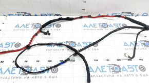 Проводка двери багажника левая Hyundai Santa Fe 24-26 откусана фишка