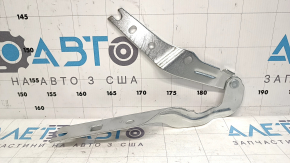 Петля капота права VW Golf 15-21