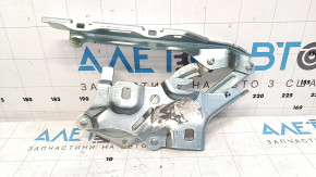 Петля капота правая Audi A5 F5 17-25