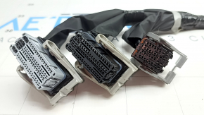 Фишки на блок ECU компьютер двигателя Nissan Ariya 23-26