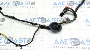 Проводка двери задней правой Audi A3 8V 15-20 4d, 5d