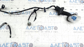 Проводка двери передней левой Honda Insight 19-22