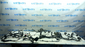 Провід підкапотний Ford Escape MK4 23-26 1.5 FWD