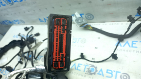 Провід підкапотний Ford Escape MK4 23-26 1.5 FWD