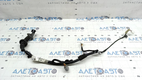 Проводка дверей задньої лівої Honda Accord 18-22