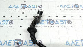 Проводка дверей задньої лівої Honda Accord 18-22