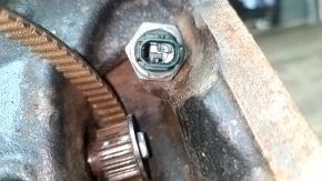 Двигун Audi A3 22-26 2.0T DNVB 57к