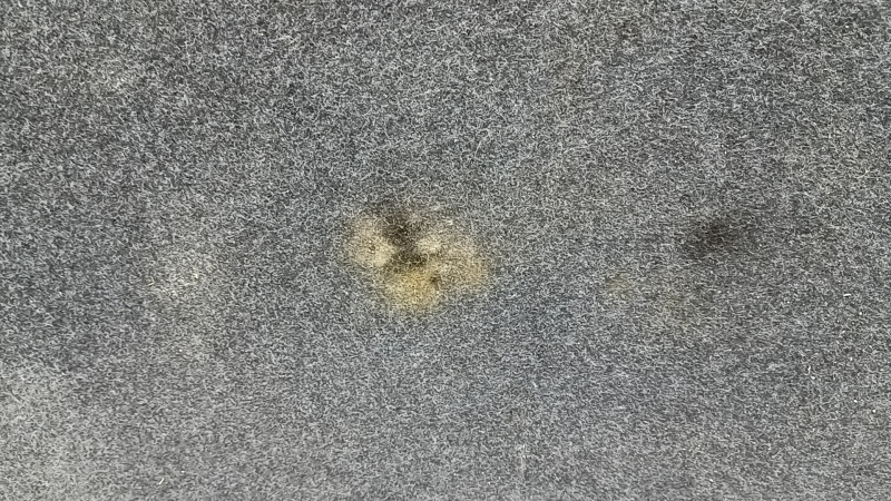 Пол багажника BMW 5 F10 11-16 черный, под чистку