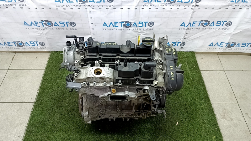 Двигатель Ford Escape MK3 17-19 1.5Т T15HDTX 81к компрессия 10-10-10-10 без навесного