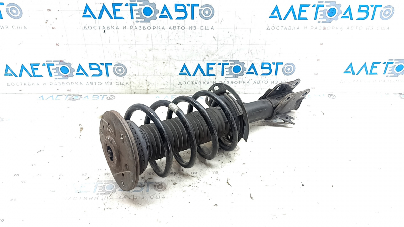 Стойка амортизатора в сборе передняя левая Ford Fusion mk5 13-20 1.5Т, 1.6Т, 2.0Т, 2.5