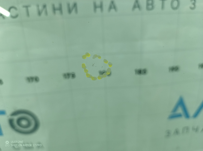 Лобовое стекло Subaru Outback 17-19 с подогревом зоны дворников, песок, воздух по кромке
