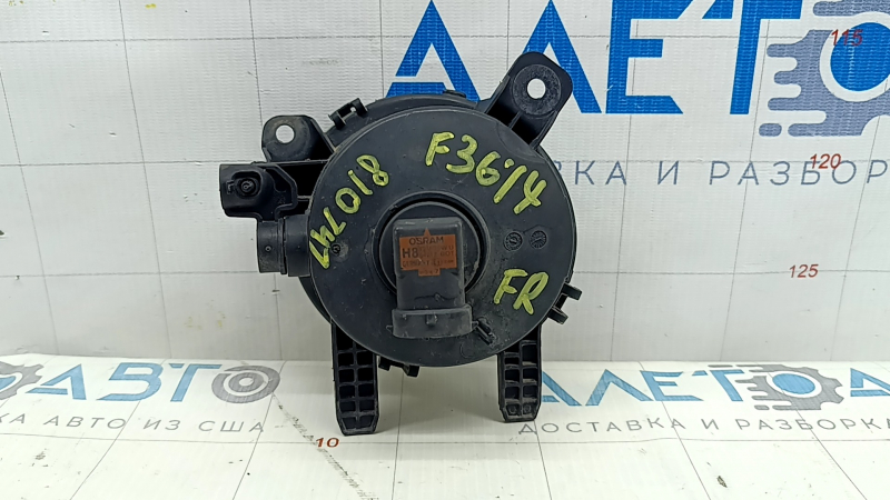 Противотуманная фара птф правая BMW 4 F32/33/36 14-16 галоген, песок