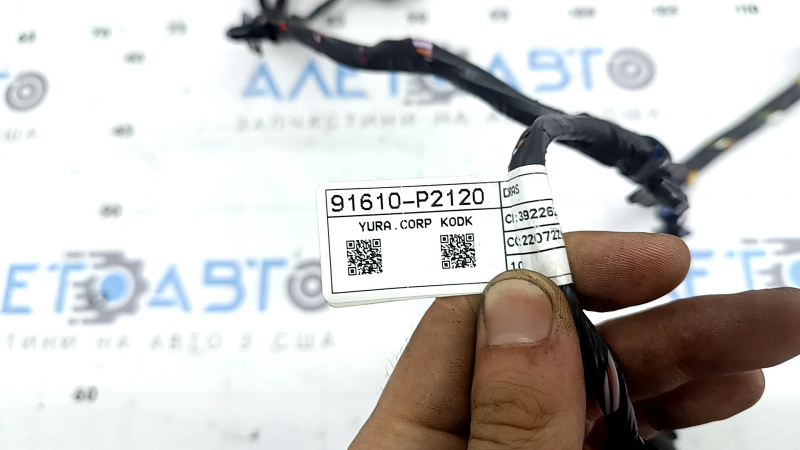 Проводка двери передней правой Kia Sorento 21-26 под keyless и auto стеклоподъемник