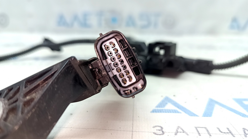 Провід підкапотний Lexus UX250h 19-26