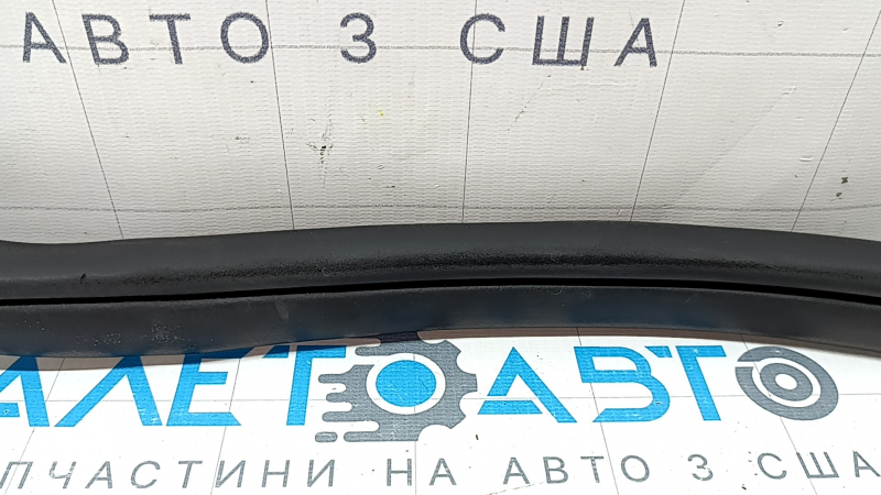 Уплотнитель дверного проема задний правый Kia Niro 17-22 царапины, потерт