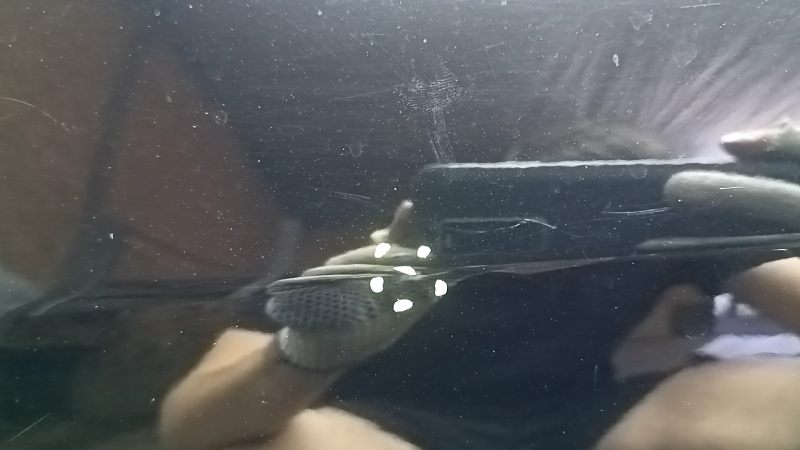 Дверь в сборе задняя правая Tesla Model 3 18-20 черный PBSB, сколы, царапины