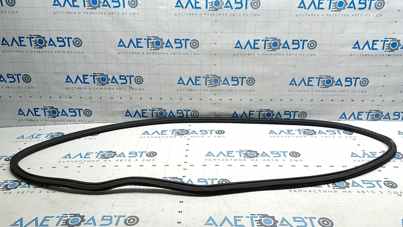 Ущільнювач дверей переднього лівого Chevrolet Equinox EV 24-26 потерт