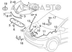 Петля капота права Toyota Sienna 11-20