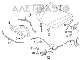 Петля капота права BMW 3 F30 4d 12-18