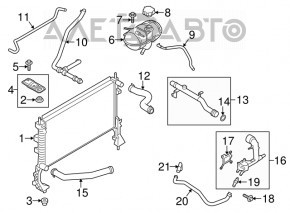 Патрубок охлаждения нижний Mustang mk6 15-23 2.3T