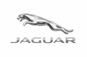 Центральний ковпачок на диск Jaguar F-Pace X761 17-25 червоний з хромом, 58мм
