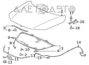 Изоляция капота Honda Civic XI FE/FL 22-26